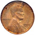 1955 Lincoln Cent. Doubled die obverse. NGC MS62
