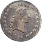 1795 Flowing Hair Dollar. 3 leaves beneath each wing. PCGS EF45