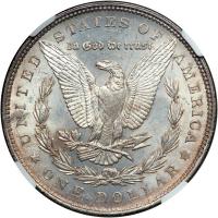 1878 Morgan Dollar. 7 tail feathers, reverse of 1879. NGC MS65 - 2