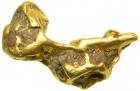 Gold Nugget 0.90 ozt. (28gr.)