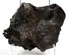 Meteorite Sikhote-Alin With Flow Line