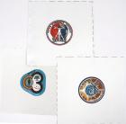 Skylab Program, 1973/4, Skylab 2-4, Bert Cloth Crew Patches