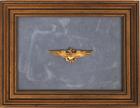 Aviation, c1960, "Deke Slayton" Naval Aviator Wings