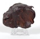 Meteorite Gebel Kamil Ataxite