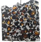 Meteorite Brahin Pallasite