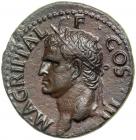 Agrippa, died 12 BC. AE As minted posthumously at Rome by Gaius, AD 37-41. EF