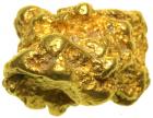 Large Gold Nugget 69.7 gr