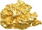 Large Gold Nugget 87.7 gr.