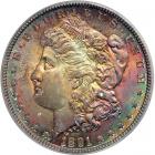 1891-S Morgan Dollar. ICG MS65