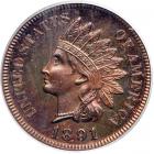 1891 Indian Head Cent. PCGS PF64