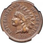 1877 NGC graded XF Details