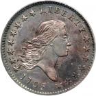 1795 Flowing Hair Half Dollar. SEGS MS61