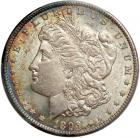 1893 Morgan Dollar. PCGS MS64