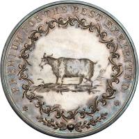 1850 Royal Hawaiian Agricultural Society Medal RM-3 - 2