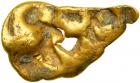 Natural Gold Nugget 14.2 gm