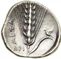 Lucania, Metapontion, c. 350 BC. AR Stater (7.37 g) engraved by the artist Aristoxenos. AEF - 2