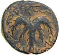 Jewish Coinage. The Bar Kokhba War, 132-135 CE. AE Middle Bronze (25 mm) attributed to year 3 (134-135 CE). AEF - 2