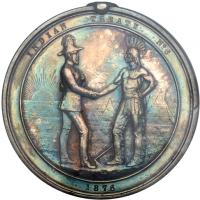 Canada. Indian Peace Treaty Medal, 1876. NGC AU55 - 2