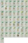 A Beautiful 50-Piece PCGS Graded Silver Commemorative Coin Set