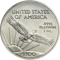 2007 $100 American Platinum Eagle - 2