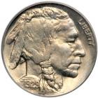 1929-D Buffalo Nickel. PCGS MS65