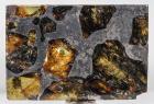 Esquel the Most Beautiful Pallasite