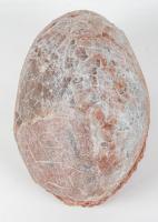 Dinosaur Egg Unkown Type of Dinosaur