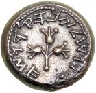 The Jewish War. 66-70 CE. Silver Shekel (14.1g). Year 3. EF - 2