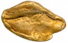 Gold Nugget From The S.S. Central America Treasure