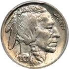 1920 Buffalo Nickel. PCGS MS66