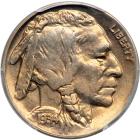 1934-D Buffalo Nickel. PCGS MS66