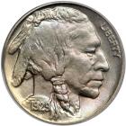 1929-D Buffalo Nickel. PCGS MS66