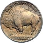 1913-D Buffalo Nickel. Type 1. PCGS MS66 - 2