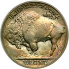 1924 Buffalo Nickel. PCGS MS66 - 2