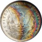 1885-O Morgan Dollar. PCGS MS66 - 2