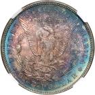 1891 Morgan Dollar. NGC MS65* - 2