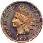 1891 Indian Head Cent. PCGS PF65