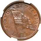 1863 US Civil War Patriotic Token Fuld 169/213a NGC graded MS65 Brown - 2