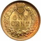 1895 Indian Head Cent. NGC MS65 - 2