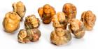 10 Piece Grouping of Netsuke Carved Ivory