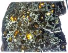 Meteorite Admire Pallasite