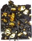 Esquel the Most Beautiful Pallasite