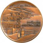 1973 Israel, Rare Bronze Presentation Medal of David Elazar, Chief of Staff