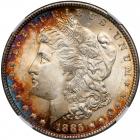 1885 Morgan Dollar. NGC MS65