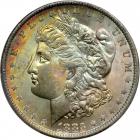 1883-O Morgan Dollar. PCGS MS64