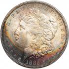 1885 Morgan Dollar. PCGS MS64