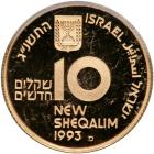 Israel. Gold 10 New Sheqalim plus silver 2 and 1 New Sheqel, 1993. PF