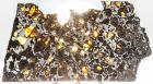 Meteorite Admire Pallasite