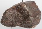 Large NWA 869 Stony Meteorite