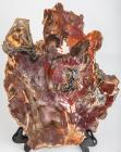 Petrified Rainbow Colored Wood